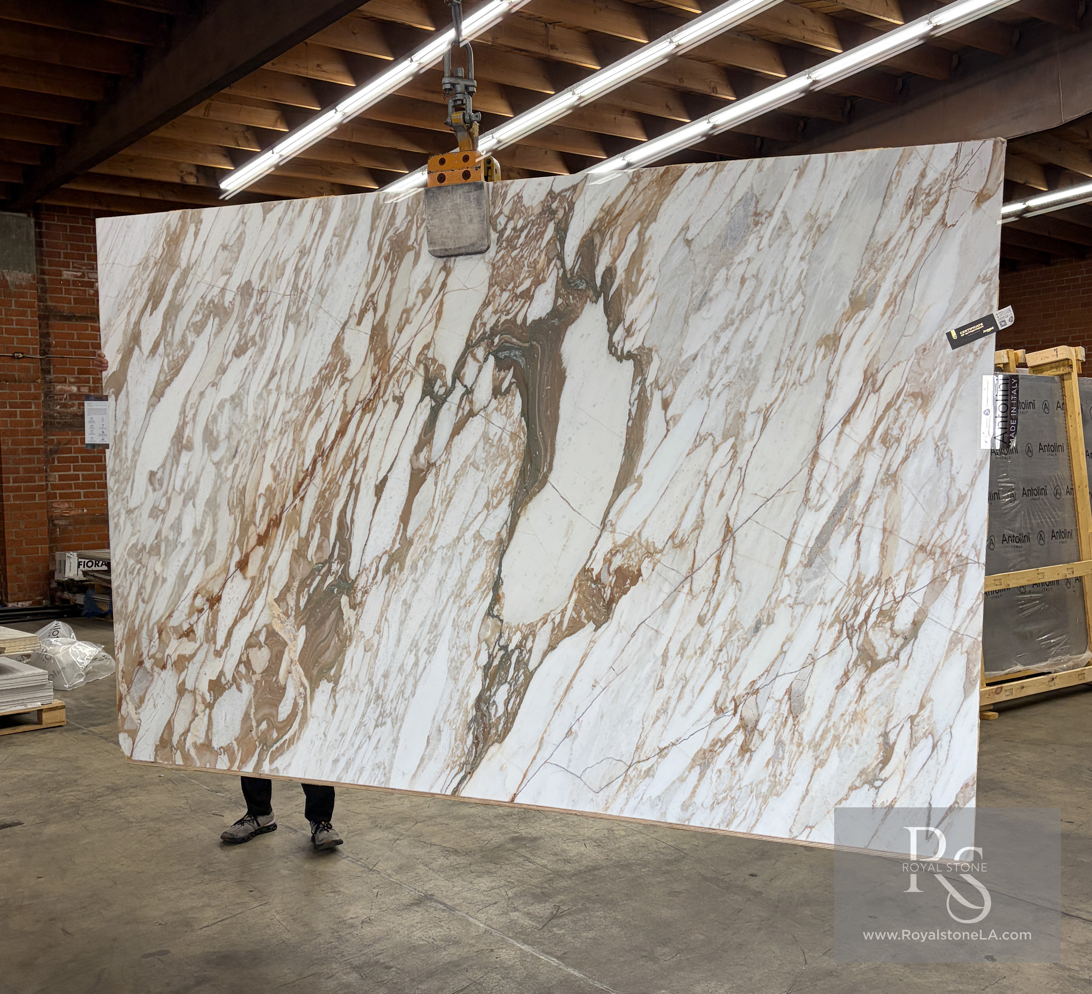 Antolini Antolini Calacatta Monet Oro Classic Marble slab