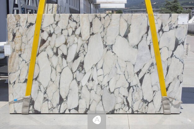 Calacatta Viola Super Extra marble slab with bold open brecciation, white clasts in a grey-gold network, polished
